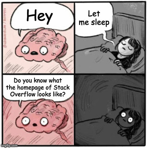 Brain before sleep meme: 